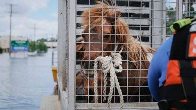 In pictures: The largest flood emergency response in NSW history, rivers swell across the state