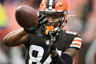 Former Browns WR Ja’Marcus Bradley drafted by XFL’s St. Louis Battlehawks