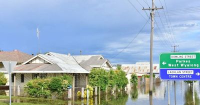 NSW needs more extensive flood solutions in the pipeline