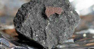Meteorite that crashed onto UK driveway holds key to how life formed on planet Earth