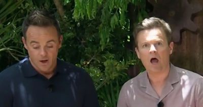 Dec Donnelly's I'm A Celebrity over reaction mocked by Ant McPartlin after trial 'disaster'