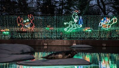 Things to do in Chicago Nov. 17-23: The Mix