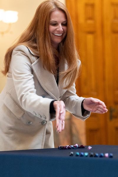 Georgia launches election audit with roll of dice