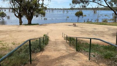 Higher River Murray flows of at least 175 gigalitres per day expected by December, SA government says