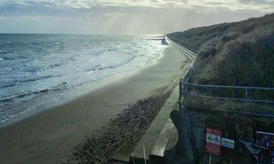 Country diary: A Norfolk walk of crumbling cliffs and jostling seals