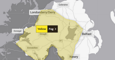 Northern Ireland weather: Yellow warning for fog in place with 'tricky travel conditions' possible
