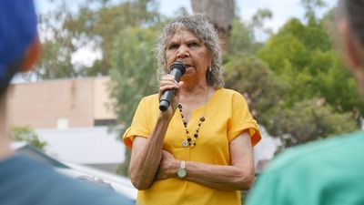 Alice Springs youth crime: Grandmothers call for return to country — not custody