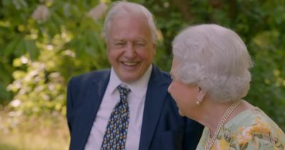 David Attenborough slams Twitter over flood of fake accounts expoiting his name