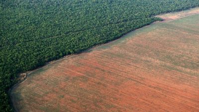 Brazil's Lula promises new day for Amazon, crackdown on illegal deforestation, at COP27