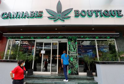 APEC host Thailand's budding marijuana industry faces backlash