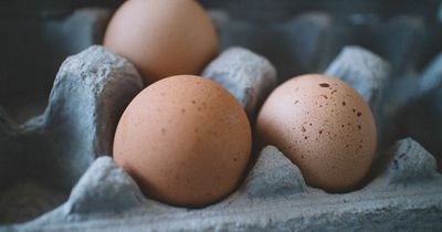 Government issues reassurance that UK will not run out of eggs