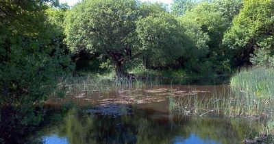 Land to be added to local nature reserve at Frog Pond Wood