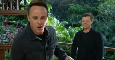 I'm A Celebrity's Ant McPartlin and Dec Donnelly make cheeky dig at Andi Peters