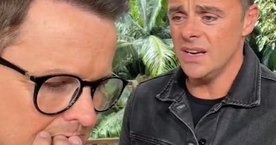 Ant and Dec say I'm A Celeb's Charlene should 'look at her actions' amid 'rule breaking'