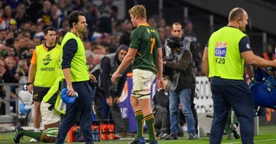 South Africa and France giants banned for rest of autumn but Pieter-Steph du Toit denies his head charge deserved a red card