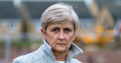 Gran livid after developers rip 20ft hedge next to her home she looked after for 22 years