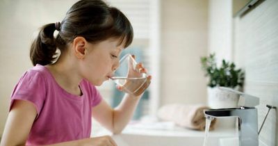 People discover real reason your mother always warned you not to drink from bathroom tap and it's revolting