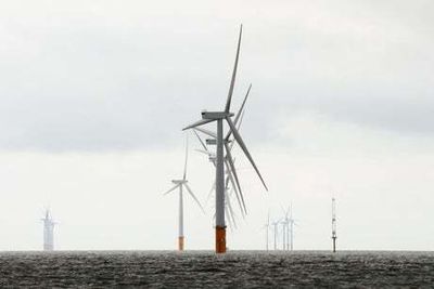 Wind farms to pay higher windfall tax than oil rigs, Chancellor reveals