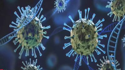 Novel artificial enzymes could help 'kill' Covid virus: Study