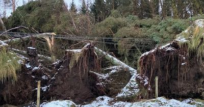 Northumberland pensioner found lying on floor for whole day after fall rescued by firefighters