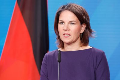 Germany will fight hard for 1.5 degree goal at COP27 - foreign minister