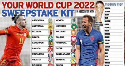 World Cup 2022 sweepstake kit: Free printable PDF with every team