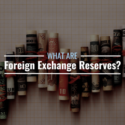 What Are Foreign Exchange Reserves? Definition & Importance