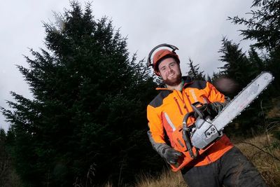 40-year-old super spruce selected as Westminster Christmas tree
