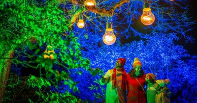 Edinburgh's 'Christmas at the Botanics' now open as magical light trail returns for 2022