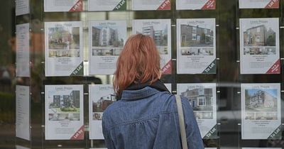 House prices forecast to fall over next two years