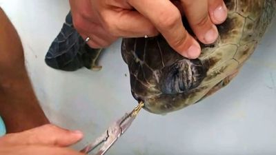 'DNA' in plastic pollution can be used to hold manufacturers responsible for its clean-up