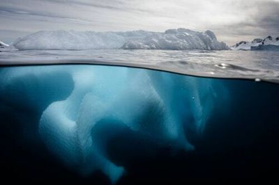 Scientists suspect microscopic life may be blooming under Antarctic sea ice