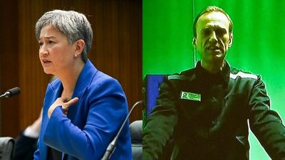 The Loop: Foreign Minister Penny Wong praises MH17 investigators, Alexei Navalny says he's been put in solitary punishment cell