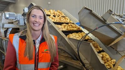Pye Group doubles potato production with $45 million Parilla packing facility