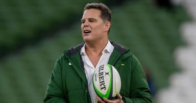 Rassie Erasmus given two-match ban for social media posts