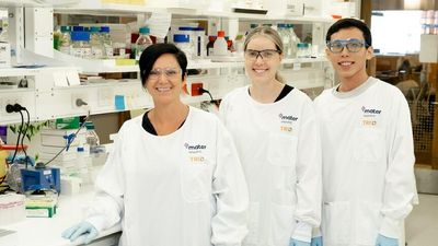 Queensland researchers find immune-boosting drug could lessen COVID-19 severity if antivirals fade