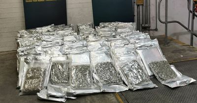 Massive amount of cannabis worth millions seized in north Dublin as man arrested