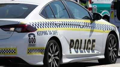 Police arrest teenagers over attempted car theft and break-ins in Adelaide's north-east