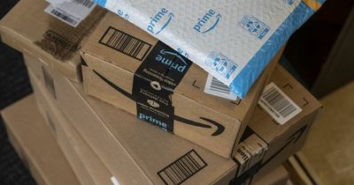 Amazon parcels of garden stones used to smuggle kilograms of drugs across the world