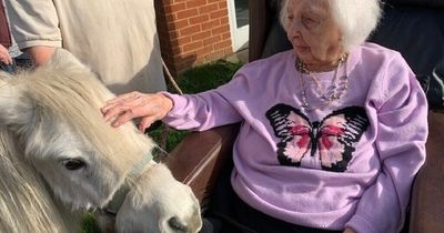 Care home resident, 102, overjoyed as surprise animals greet her on special day