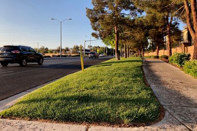 Western cities agree to remove decorative grass amid drought