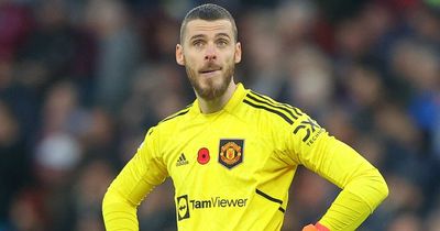 David de Gea 'bemused' by message from Spain FA chief after retirement confusion