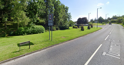 Co Tyrone delays expected as police search fatal crash scene