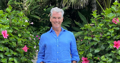 Pierce Brosnan shares 'blessings' as he announces birth of his fourth grandchild and shares very cool name