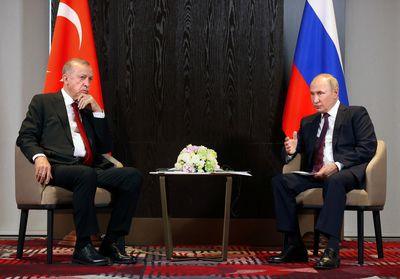 Putin discussed idea of Turkish 'gas hub' with Erdogan, Kremlin says