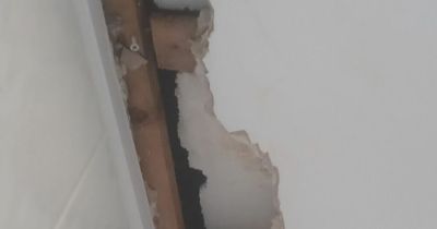 Edinburgh council 'sorry' as woman stranded in damp flat with holes for ten years