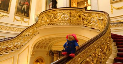 Paddington bears left in tribute to Queen cause 'mischief' at Palace before being donated