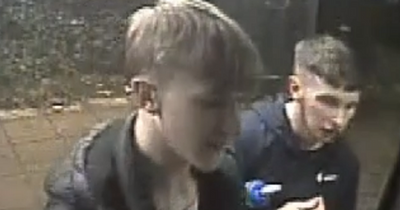 Police want to speak to these men after a bus driver was attacked and cash raided