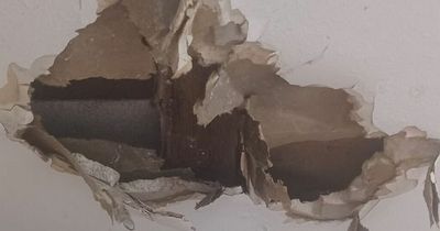 Scots council apologises after woman stuck in damp flat with holes for a decade