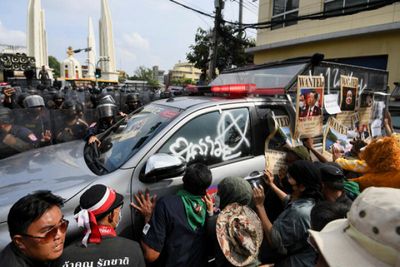 Police under fire for assault at anti-Apec rally